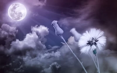 Pleine Lune des fleurs du 5 mai 2023 : Préparez-vous à une tempête astrale épique, les prédictions pour chaque signe astrologique vont vous surprendre !