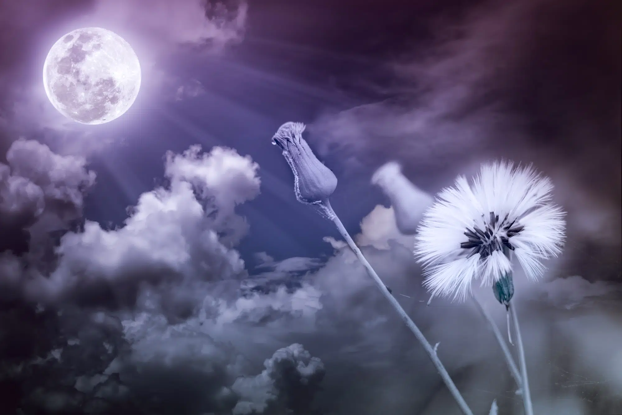 Pleine lune des fleurs du 5 mai 2023