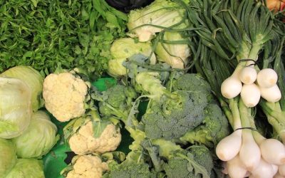 Découvrez les incroyables bienfaits des couleurs des fruits et légumes que nous consommons ! 🍎🥦💥
