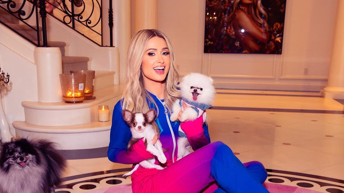 Paris Hilton: Elle rend furax les défenseurs des animaux