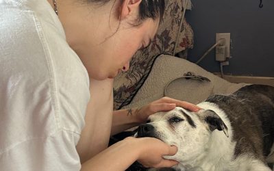 Une tragédie déchirante aux États-Unis : Billie Eilish inconsolable après la perte de son fidèle compagnon à quatre pattes !