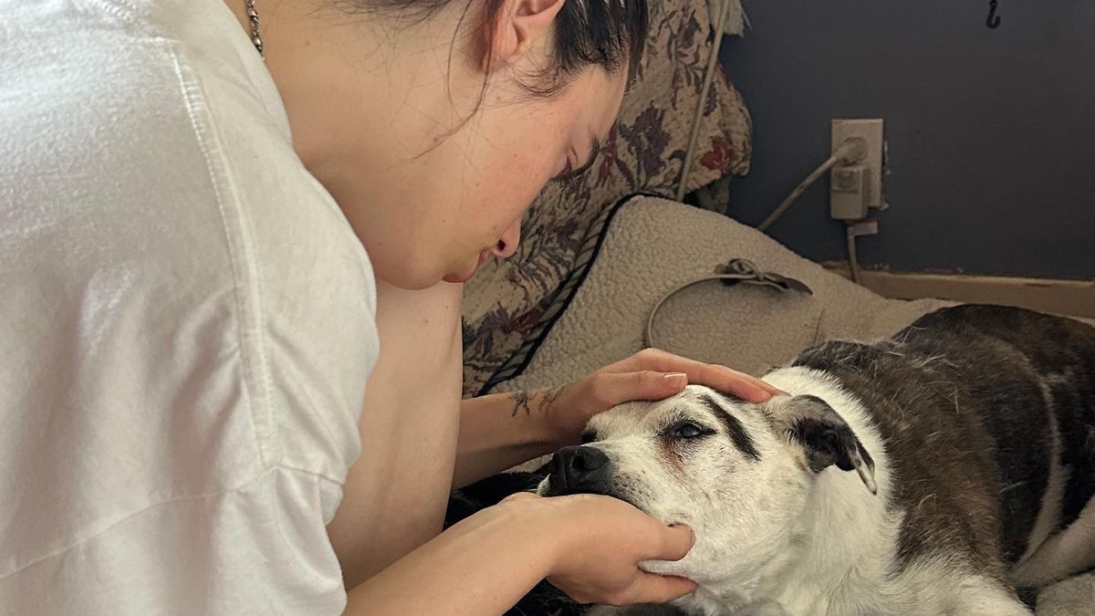 États-Unis: Billie Eilish pleure la mort de son toutou
