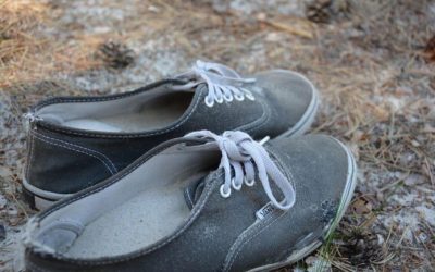 Vans : La marque de skate ultime qui va te faire halluciner ! 🤩