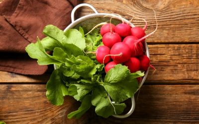 Radicalement étonnant ! Découvrez le secret écolo pour recycler les fanes de radis et dire adieu au gaspillage ! 🌱💚