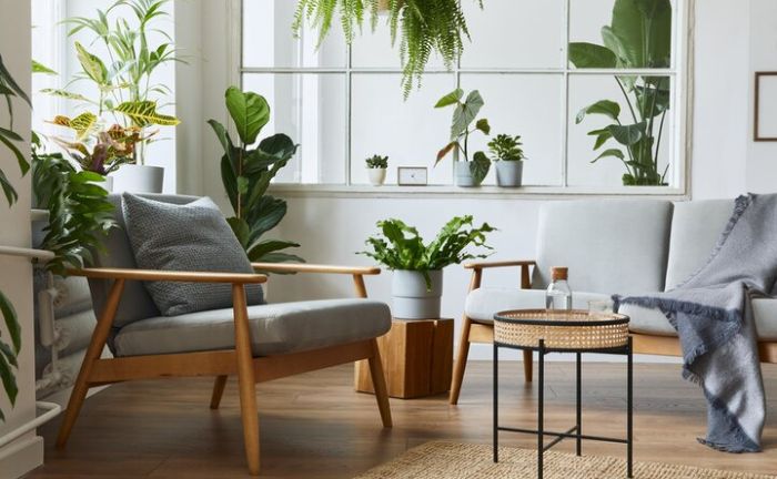 le salon de la maison avec des plantes, du bois et des fibres naturelles
