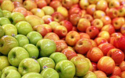 5 raisons pour lesquelles ce fruit ne devrait pas être “interdit” – Vous ne devinerez jamais la raison numéro 4 !