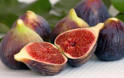 Cette délicieuse fruit pourrait diminuer votre besoin en insuline ! Découvrez son incroyable pouvoir sucré !