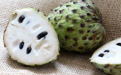 Découvrez le pouvoir incroyable de ce fruit tropical rare pour renforcer vos os et prévenir la perte de densité ! 🌴💪