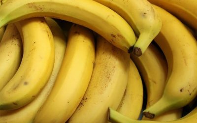 Deviens une personne plus heureuse en savourant ces délicieux fruits – découvre le secret pour atteindre le bonheur ultime !