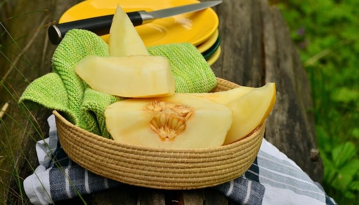 bol concombre melon fruit en bonne santé