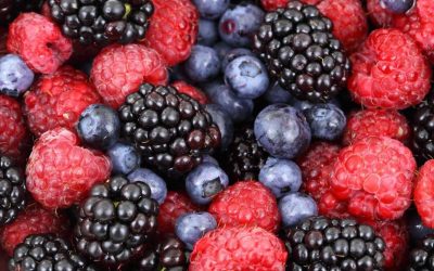 Découvre les différences entre framboise et mûre : Découvrez les bienfaits de chaque fruit !
