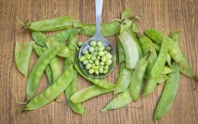 Découvre pourquoi il est essentiel de consommer une tonne de petits pois ! 🌱🥦