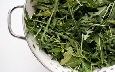 Découvrez LE secret ultime pour laver la roquette et éliminer toutes les bactéries ! Vous allez être bluffé(e) !