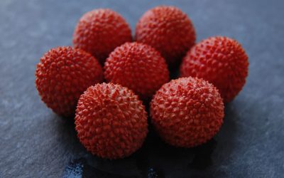 Découvrez combien de litchis vous devriez manger par jour pour perdre du poids : le secret révélé enfin !