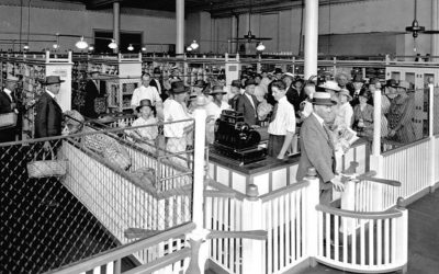 Découvrez comment le supermarché a littéralement façonné la culture du 20e siècle !