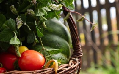 Découvrez la recette ultime pour préparer une délicieuse menestra de légumes maison et épater vos invités !