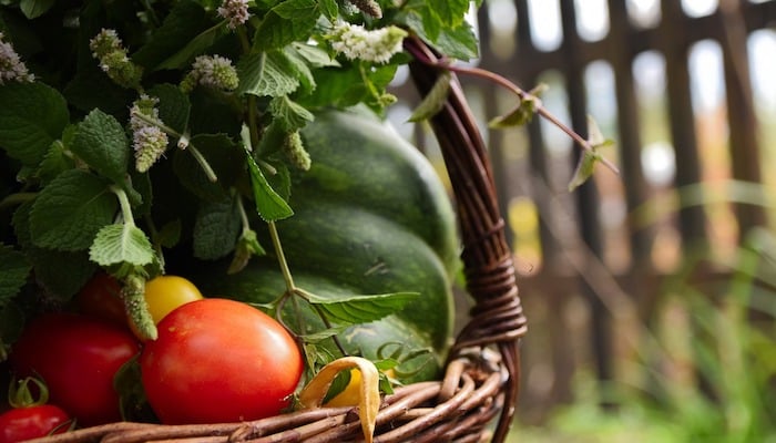 panier de légumes de saison pour mijoter