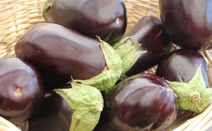 Aubergine