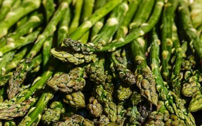 Découvre comment, où et quand cultiver des asperges pour une croissance optimale !