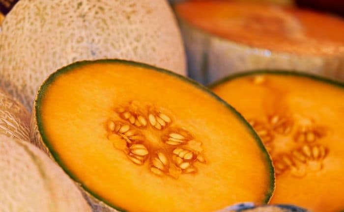 Melon