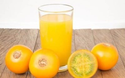 Découvrez la recette d’un délicieux smoothie au lulo pour faciliter la digestion. Succombez à son goût irrésistible !