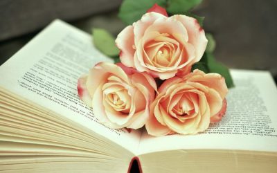 Découvrez la signification des roses selon leur couleur et exprimez vos sentiments avec élégance ! 🌹💕