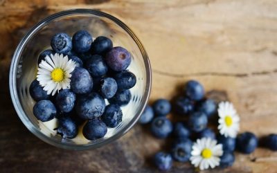Découvrez le pouvoir des myrtilles : le fruit le plus puissant en antioxydants selon le Département de l’Agriculture des États-Unis ! 🌟