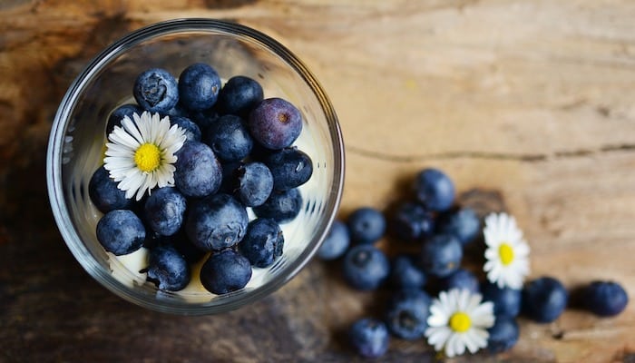un plat avec des myrtilles antioxydantes