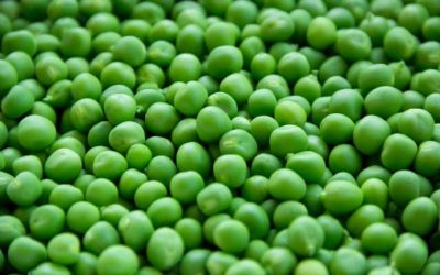 Les petits pois peuvent-ils te faire grossir ? Découvre l’avis des experts !