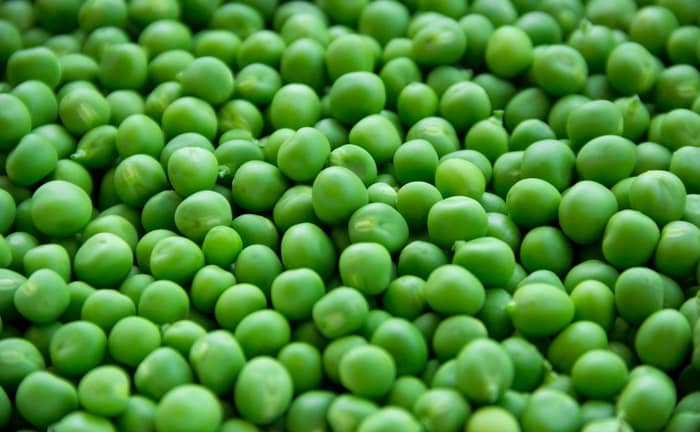 engraisser avec des petits pois