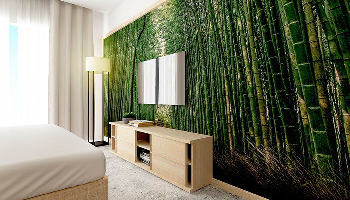 Mur décoré d'une photo de forêt