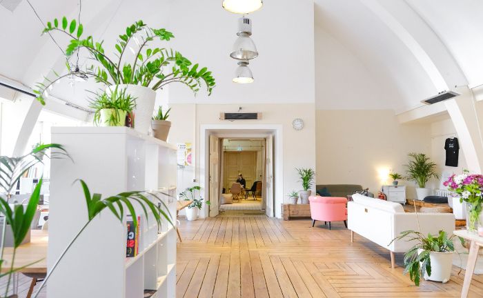 Fleurs et plantes pour la décoration de la maison