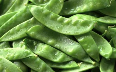 Découvrez la meilleure façon de nettoyer correctement les haricots verts !
