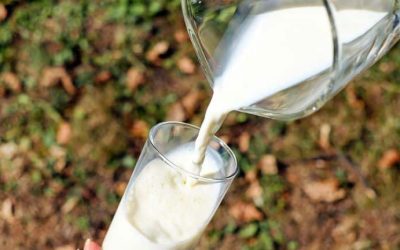 Découvrez le secret ultime d’un délicieux smoothie à l’orange et au lait pour booster votre système immunitaire !