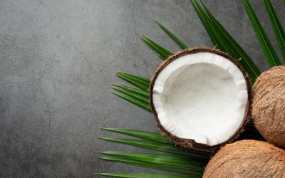 Découvrez le surprenant produit qu’est la noix de coco ! Vous ne devinerez jamais ce que c’est vraiment…