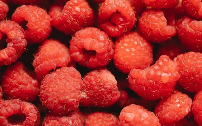 Découvrez les conséquences étonnantes de la surconsommation de framboises sur votre santé !