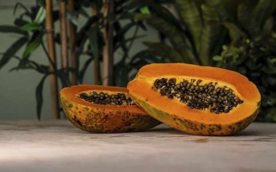 Deviens un pro de la culture de papayers chez toi en quelques étapes faciles ! 🌱