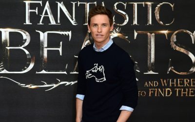 Fin de la saga « Harry Potter » ? Les « Animaux Fantastiques » stoppés ! Incroyable révélation ! 😱