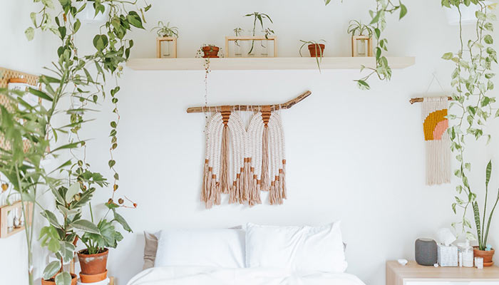 Chambre avec plantes en tête de lit