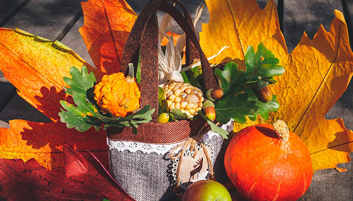 Décoration avec des citrouilles