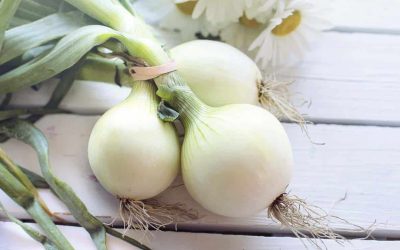 Découvrez l’astuce secrète pour conserver les oignons et les garder frais plus longtemps, sans pourrir !