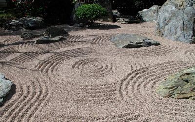 Crée ton oasis de détente à la maison avec un jardin extraordinaire ! Découvre notre secret en 80 caractères.