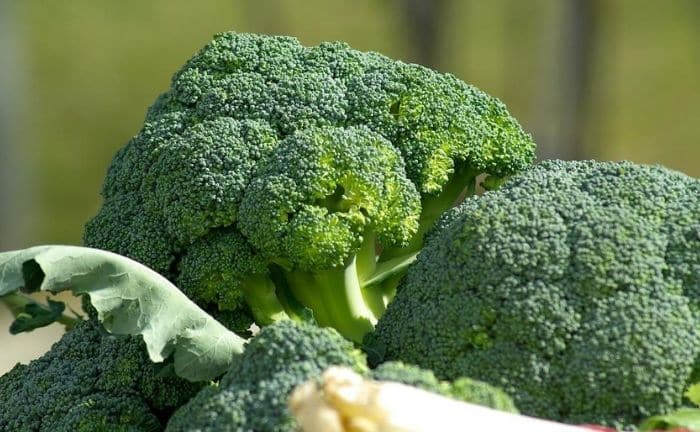 Brocoli et chou-fleur