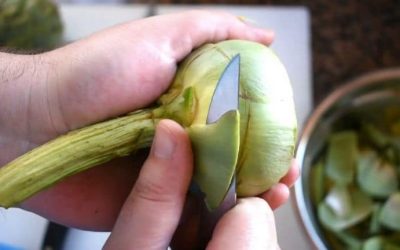 Découvrez la véritable RAISON choquante pour laquelle les feuilles de ce légume sont IMPOSSIBLES à manger : les alcachofas !