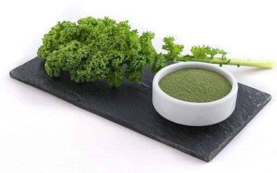 Découvrez les bienfaits du kale en poudre et apprenez comment l’utiliser pour enrichir votre alimentation !