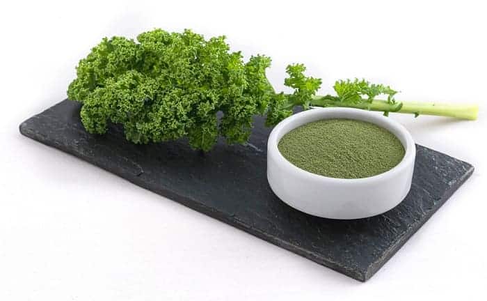 nutrition alimentation santé