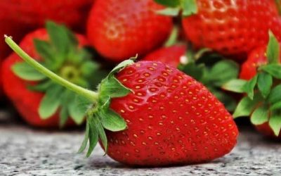 Découvrez les bienfaits incroyables de manger des fraises tous les jours !