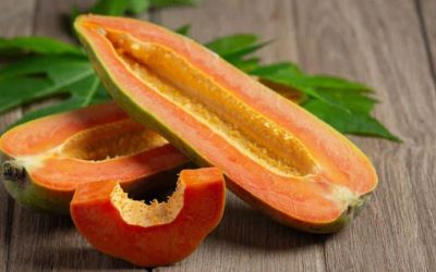 Découvrez les recettes ultimes de smoothies à la papaye, à préparer chez vous pour une explosion de saveurs !