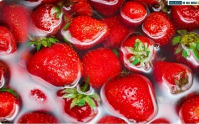 Découvrez pourquoi il ne faut JAMAIS couper cette partie de la fraise avant de la laver ! 😱🍓