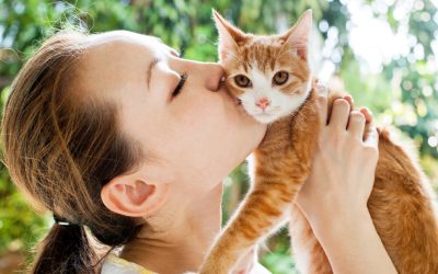 Découvrez quelle race de chat correspond parfaitement à votre signe astrologique !